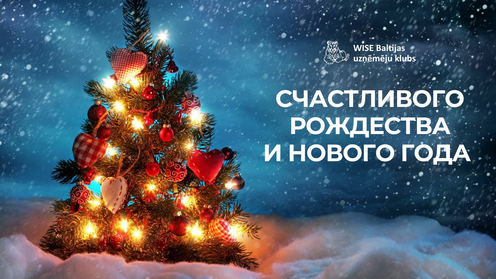 Marite_prezentatsiya_RU_kopiya_kopiya_kopiya1